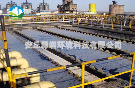 WLW型往復(fù)式真空泵曲軸部件示意圖