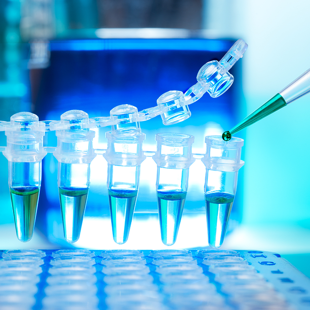 臥式直連爪型干式真空泵的工作原理