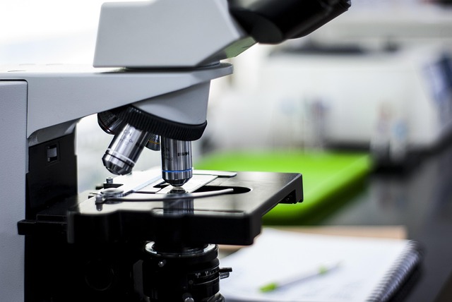 臥式直連爪型干式真空泵的工作原理