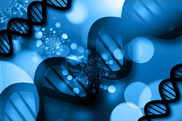 SK-6、SK-12、SK-30水環式真空泵及壓縮機氣水分離器外形尺寸圖